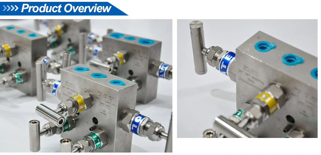 Oxygen Manifold Valve 5 Way Manifold 5 Way Valve Manifolds