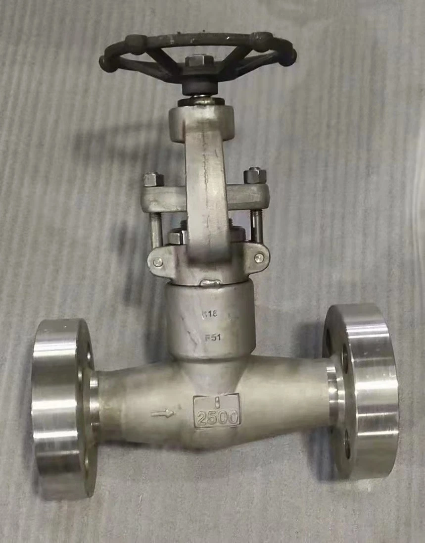 Low Temperature Stainless Steel 304 316 Liquid Nitrogen Natural Gas Liquid Oxygen Welding Globe Valve with Long Shaft