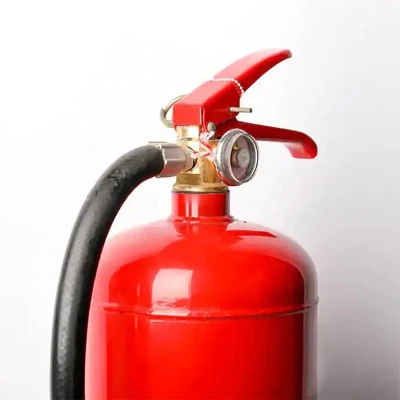 CO2 Fire Extinguisher 5kg 9kg Cylinders