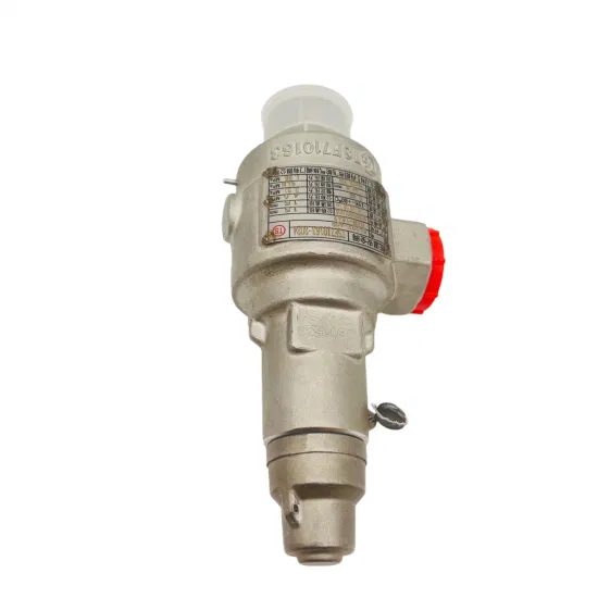 Cryogenic Gas Carbon Dioxide CO2 Safety Pressure Relief Valve